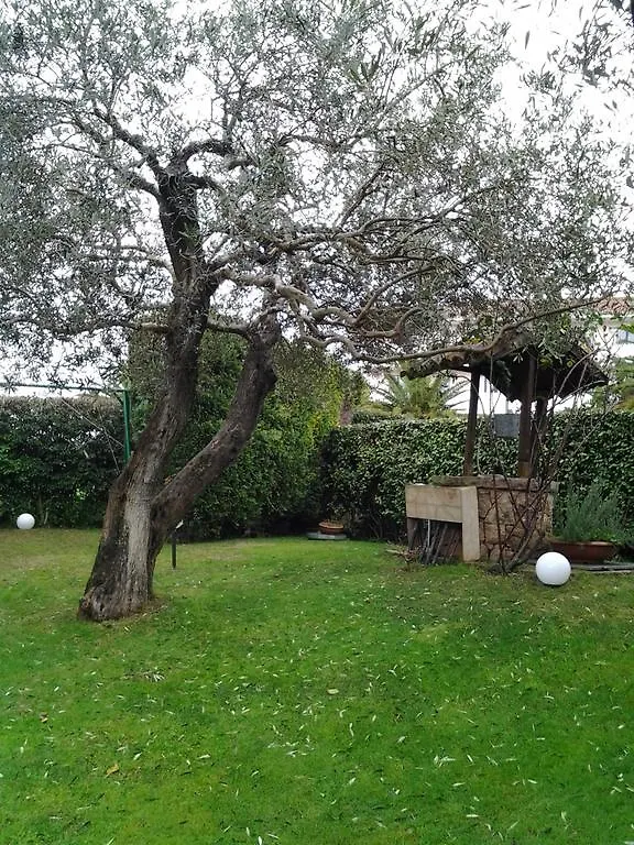 Apartamento Robert House Alguer